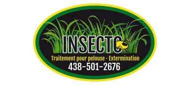 Design et infographie de logo pour Insecto