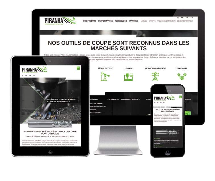 Design et conception du site web PIRANHA